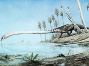 Обитала в воде, а не на суше: палеонтологи исследовали останки рептилии со сверхдлинной шеей