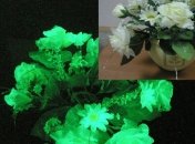 Эксклюзивные цветы к Хэллоуину