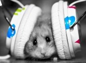 Вышел трек, записанный с помощью самых приятных звуков в мире (Видео) 