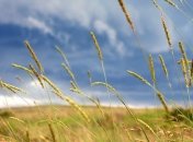 Прогноз погоды в Украине на 27 июля: местами пройдут грозы