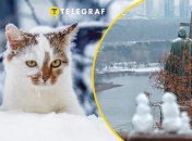 Погода в Киеве на 17-18 января