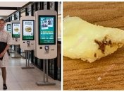 Во "Вкусно — и точка" посетитель в своем блюде обнаружил таракана