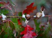 Праздник "Иванов день" отмечается в 2023 году 19 октября (ранее 1 ноября)