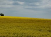 Порошенко: Поддерживаю отмену земельного моратория, но нахожусь в меньшинстве