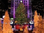 В Нью-Йорке зажглась главная рождественская елка Америки
