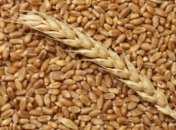 Аграрный экспорт Украины за 11 месяцев 2016 года вырос на $535 миллионов