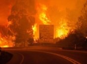 Минимум 19 человек погибли из-за масштабного лесного пожара в Португалии