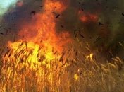 Пожары на полях под Киевом и Харьковом уничтожили 33 га зерновых