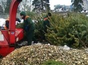 Киевлянам рассказали, куда приносить новогодние елки