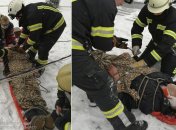 Чоловіка довелося знімати з даху магазину