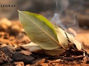 Лавровий лист чудово виводить негативну енергію