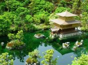 4-го мая в Японии пройдет День зелени