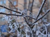 Погода в Украине 25 февраля: ожидается дождь со снегом