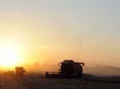 Украина засеяла яровыми зерновыми 25% прогнозируемых площадей