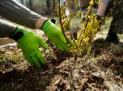 Українці дбають про свою землю