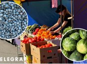 Ярмарок у Києві