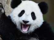 Очередная порция убойного юмора в подборке смешных картинок 