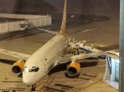 Евакуація: літак з українцями та іноземцями на борту вилетів із Уханя