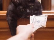 Леви та Скорпіони можуть досягти благополуччя на тижні з 5 по 11 червня 2023 року