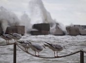 Бушующее море в Одессе: появились красочные фото осеннего шторма 