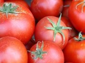 Уникальные свойства томатов 