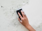 Плесень можно убрать без лишних трат