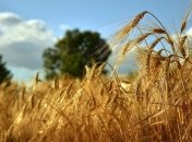 12 вересня - свято, що категорично заборонено робити, головні прикмети