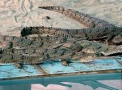 В Голландии накрыли банду наркоторговцев с "крокодильей" охраной