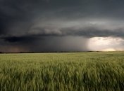 Погода в Украине 18 июля: преимущественно дожди с грозой