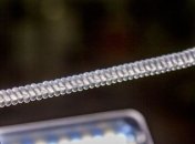 Ученым удалось создать очень мощные мышцы из неожиданного материала