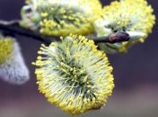 Прогноз погоды в Украине на сегодня: солнечно и ясно