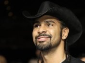 Дэвид Хэй получил боксерскую лицензию