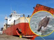 Судно "Григорій Ловцов"