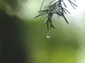 Прохладно и местами дожди: чем "удивит" погода сегодня 24 мая