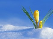 16 марта. Приметы дня