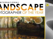 Иллюстративное фото