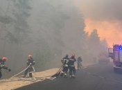 Родини загиблих у лісових пожежах отримають 200 тис. грн допомоги