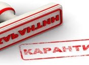 В Харькове введен карантин из-за вспышки бешенства