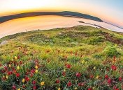 Весна в Крыму: несказанная красота гор, утопающих в цветах (Фото) 