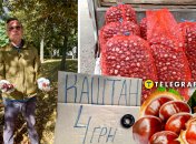 Українці, які займаються збором каштанів, мають різні причини для цього