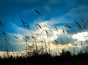 Июнь радует невероятными пейзажами