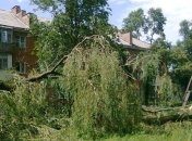 Непогода в Украине: десятки населенных пунктов остались без света