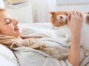 Зоологи объяснили одну из самых загадочных особенностей поведения кошек