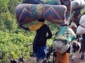 СБ ООН потребовал от повстанцев в ЦАР прекратить боевые действия