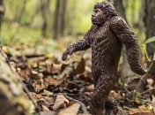 Ученые обвинили неандертальцев в передаче вируса папилломы европейцам 