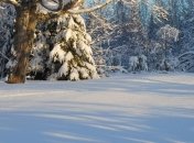 Прогноз погоды в Украине на сегодня: солнечно и морозно