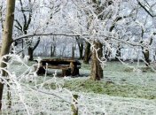 12 декабря. Приметы дня