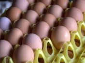 В Болгарии изъяли более 30 тонн зараженного мороженого и майонеза