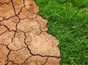 Через 50 лет около 3,5 млрд человек будут страдать от невыносимой жары