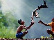 Повседневная жизнь индонезийской деревни в ярких снимках (Фото) 